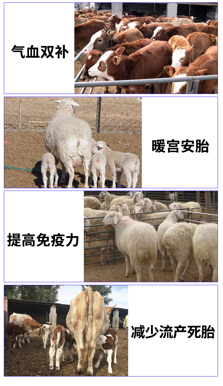 保胎安 普旺兽药