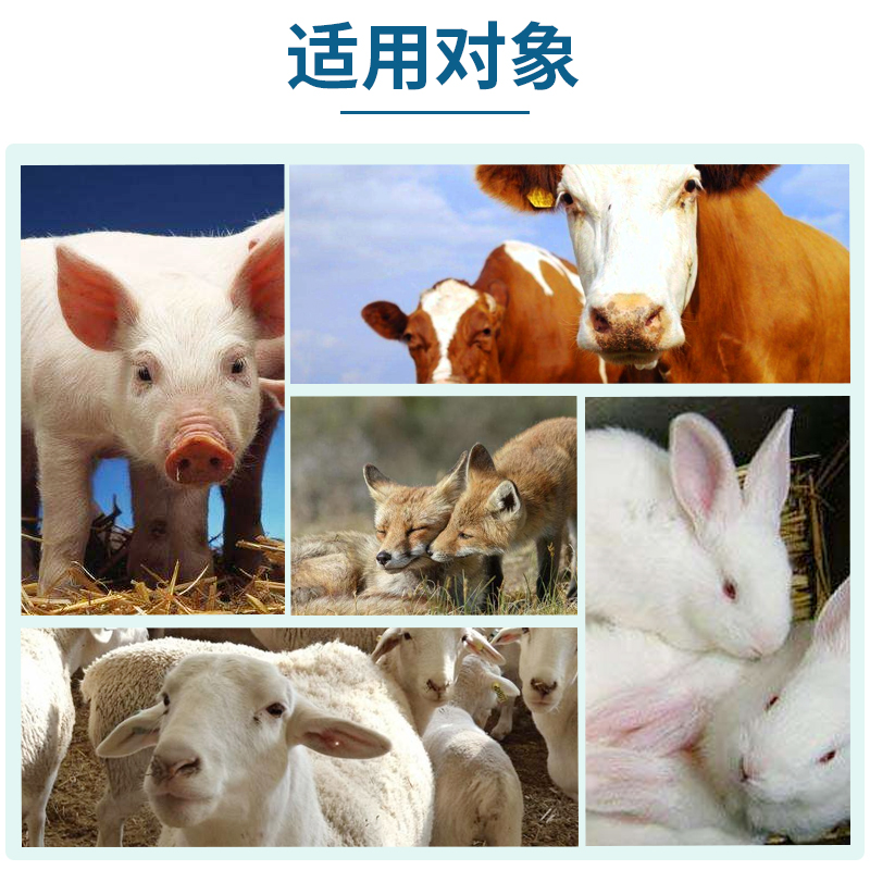 妈妈咪