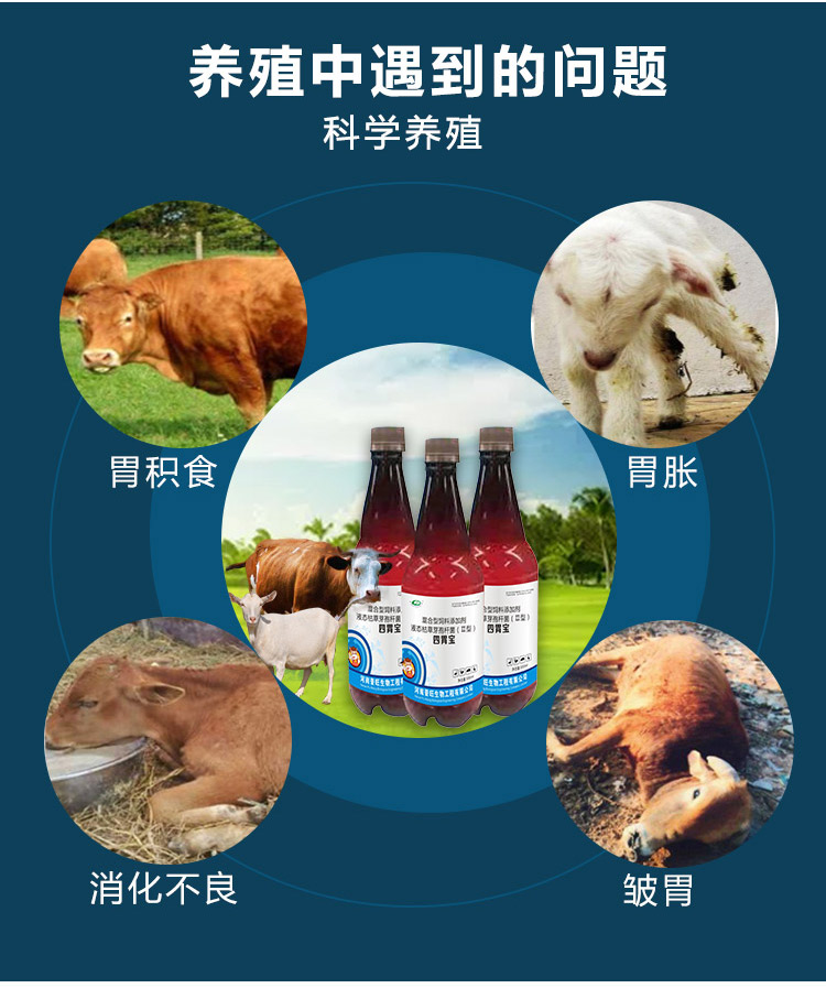 四胃宝