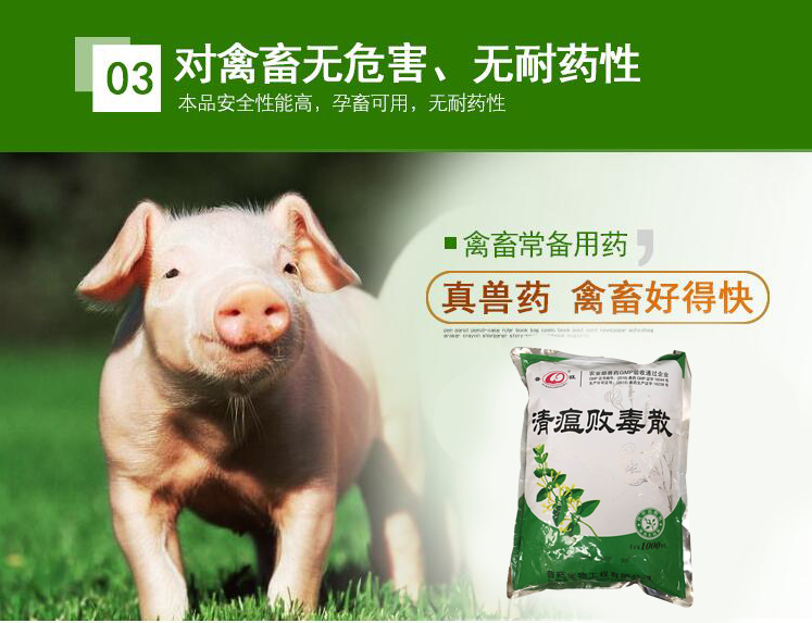 清瘟败毒散