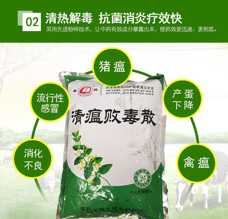 清瘟败毒散