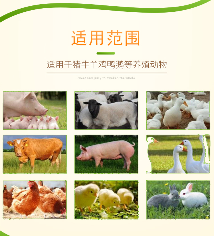 七清败毒颗粒
