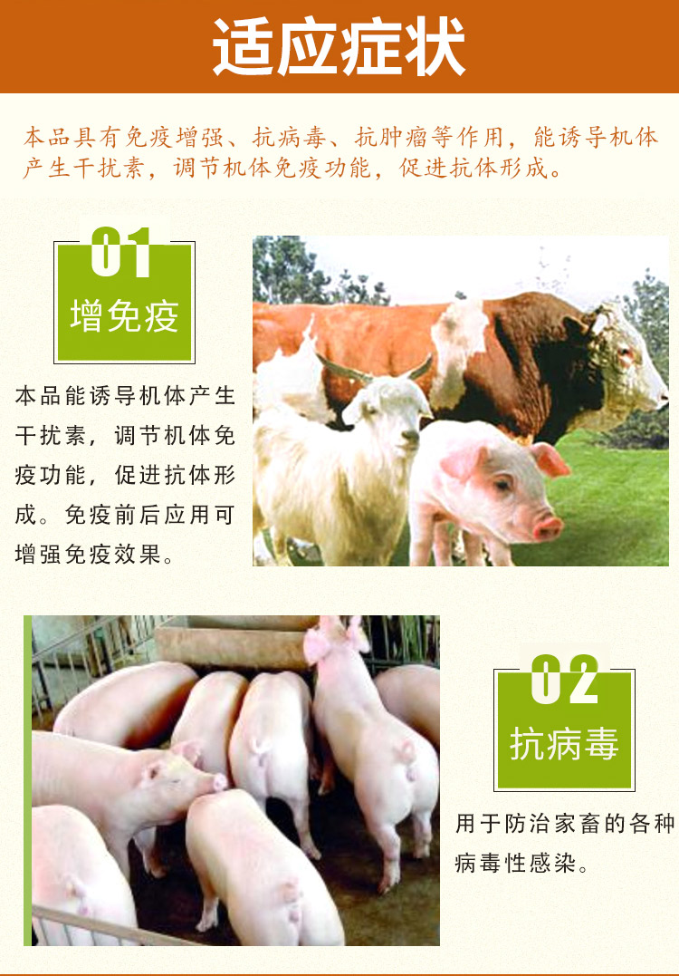 黄芪多糖可溶性粉
