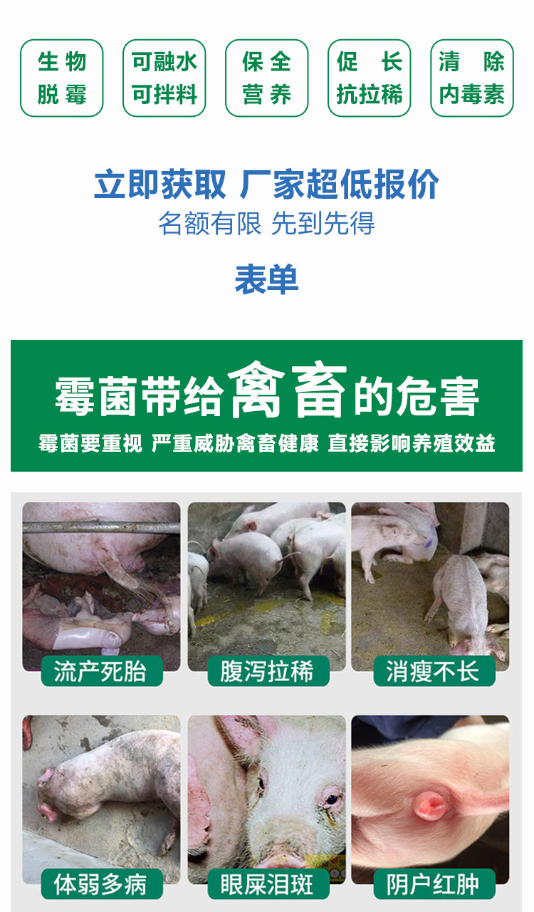 梅净
