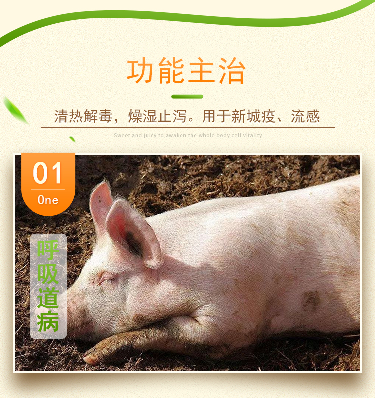 七清败毒颗粒