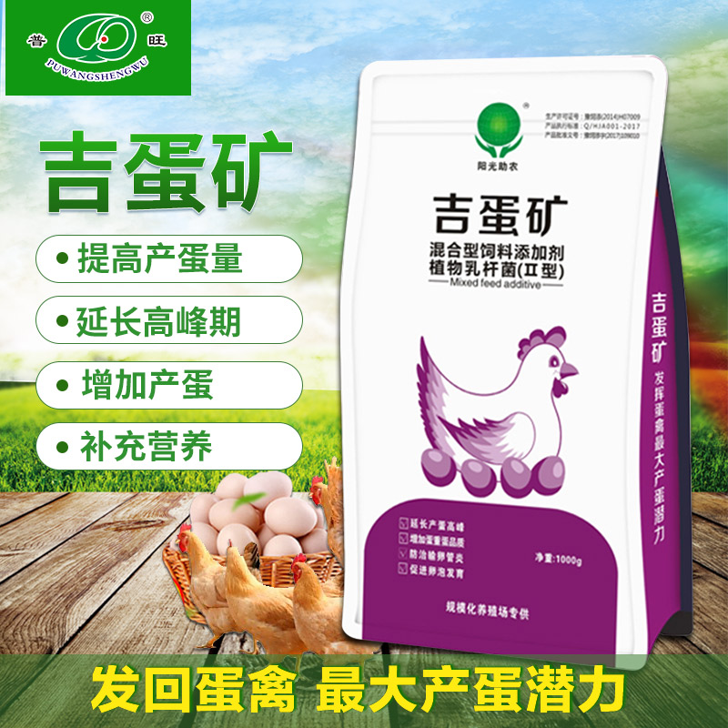 吉蛋矿 普旺兽药