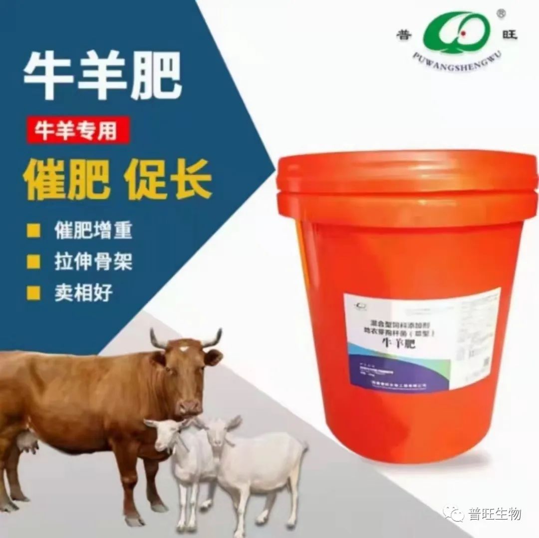 牛羊药厂家3