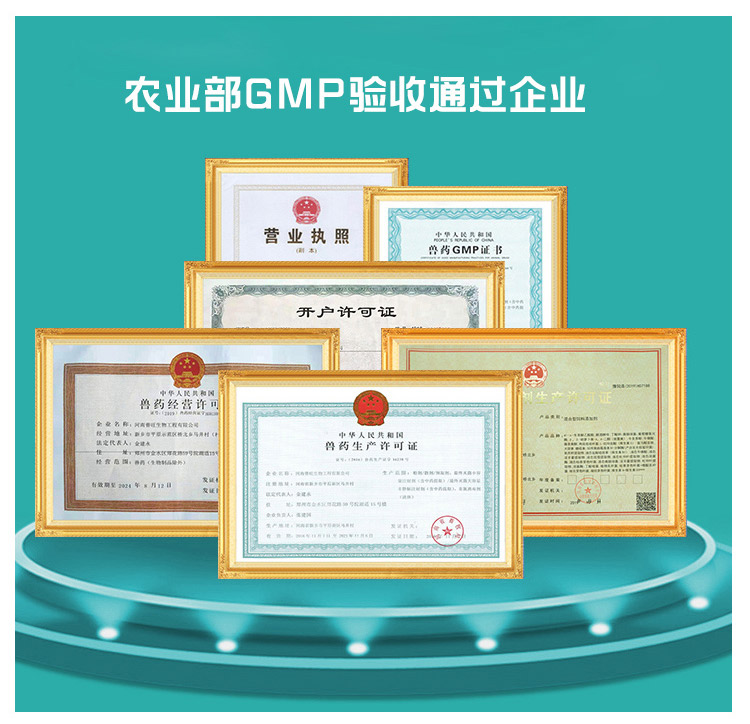 企业资质