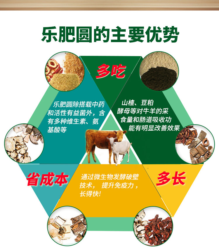 乐肥圆