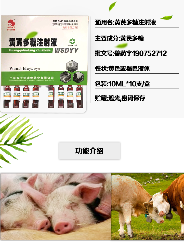 黄芪多糖注射液