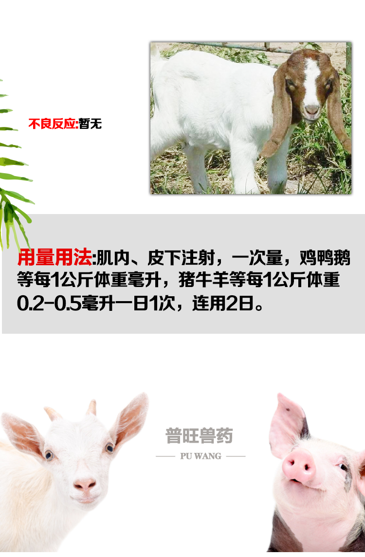 黄芪多糖注射液