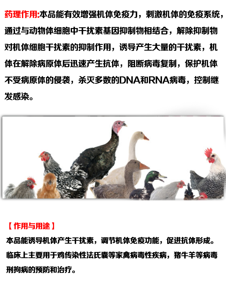 黄芪多糖注射液