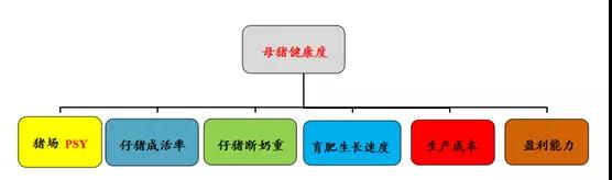 普旺生物 母猪健康度