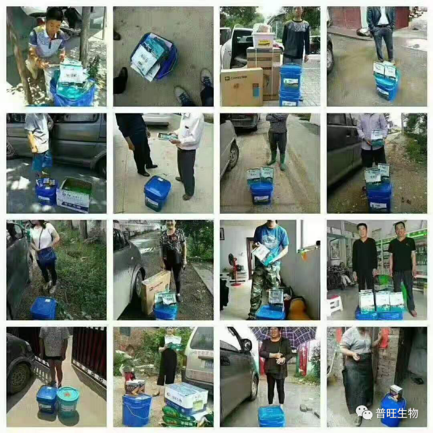 普旺兽药厂家产品销往全国各地的养殖场客户见证