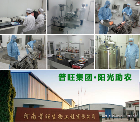 普旺兽药公司新乡平原新区生产基地