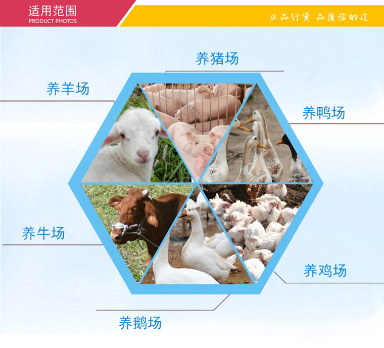 清凉一夏 普旺生物3