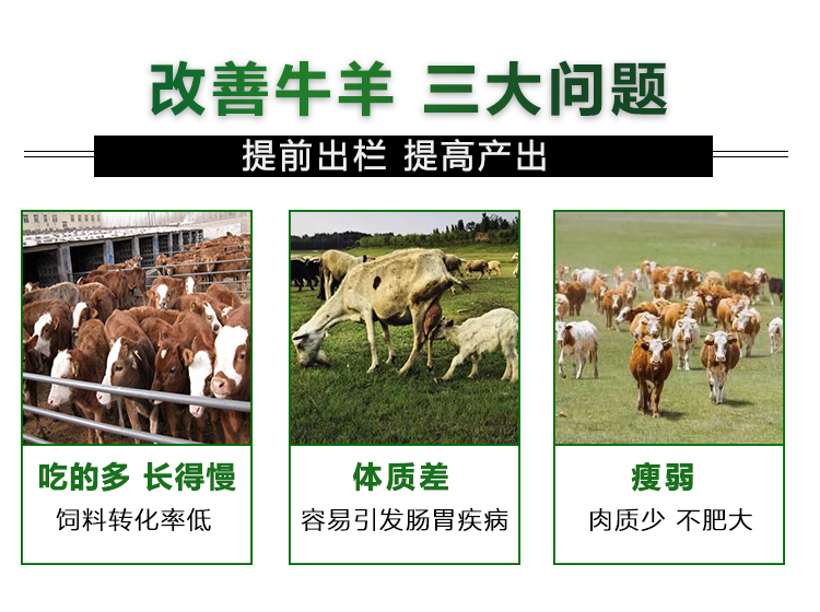 普旺兽药 牛羊肥03