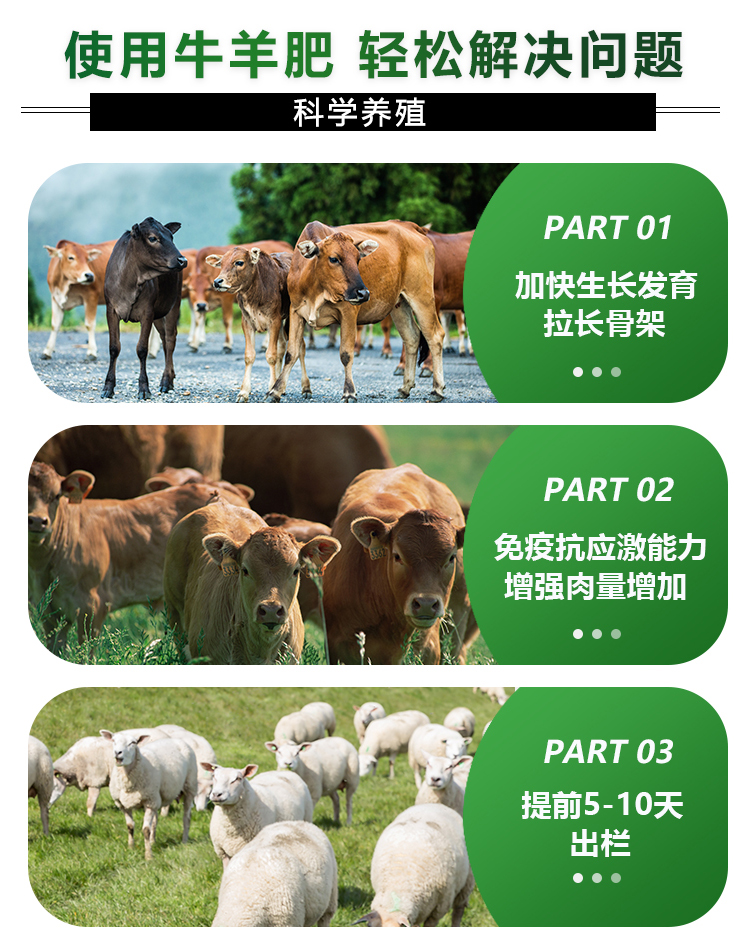 普旺兽药 牛羊肥04