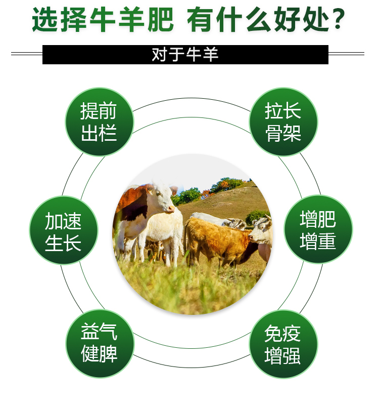普旺兽药 牛羊肥06