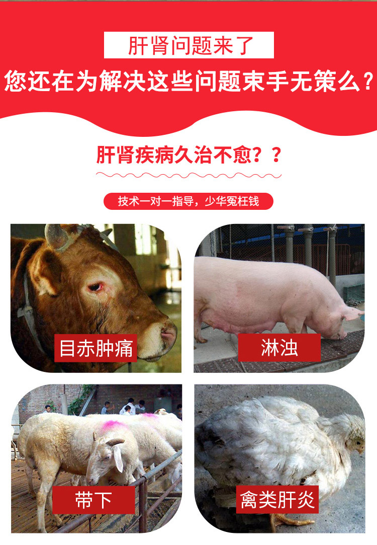 龙胆泻肝散2