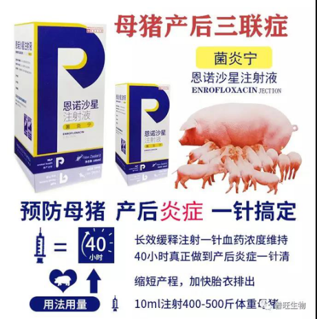菌炎宁