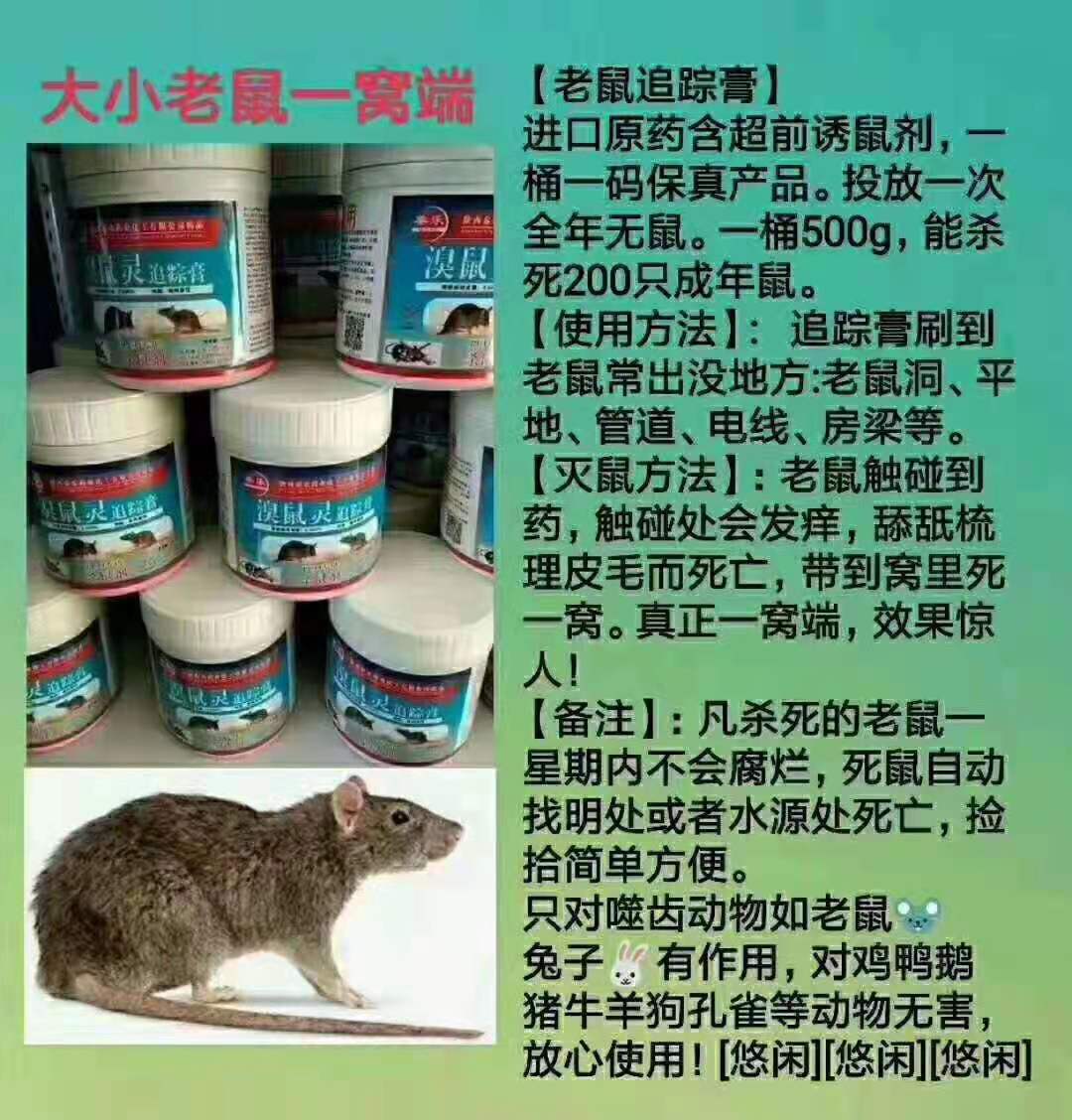 老鼠追踪膏