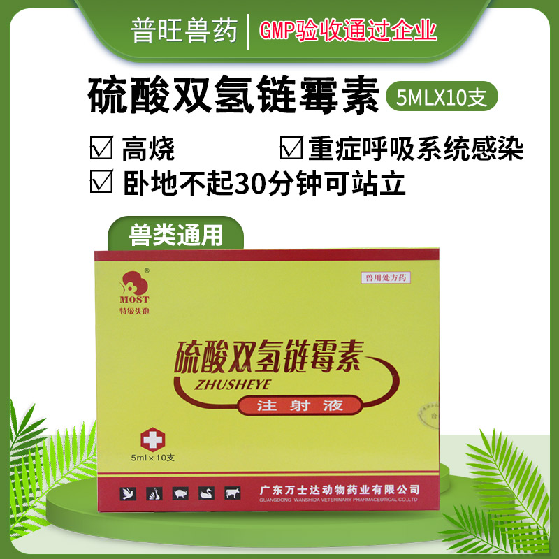 链霉素注射液