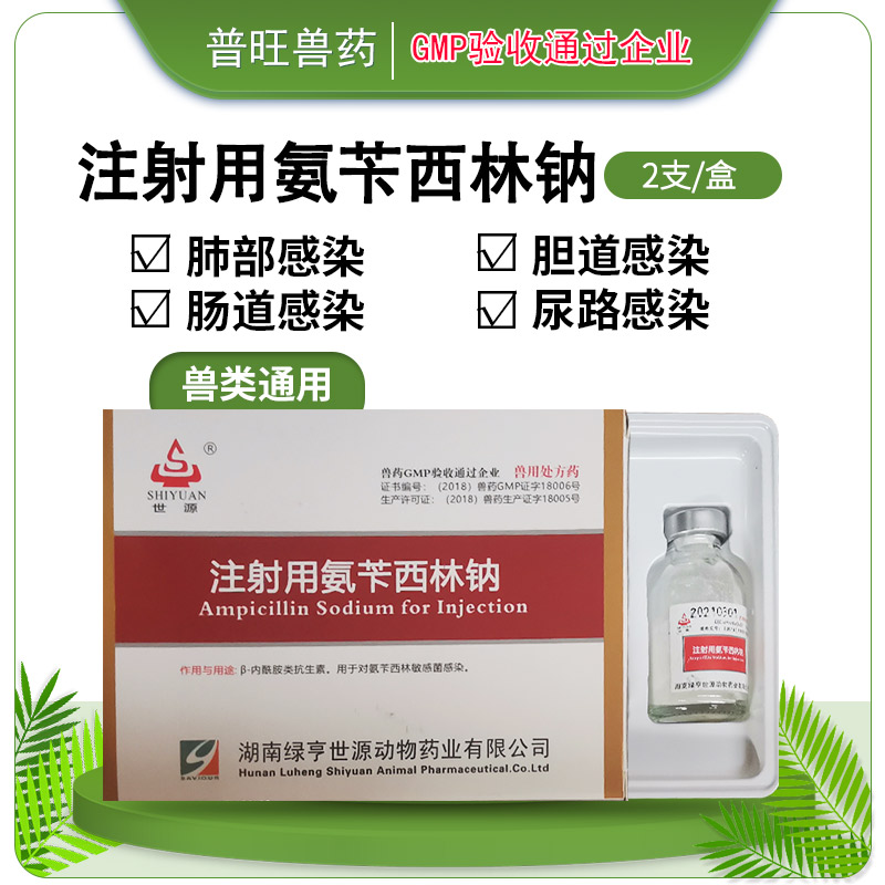 注射用氨苄西林钠