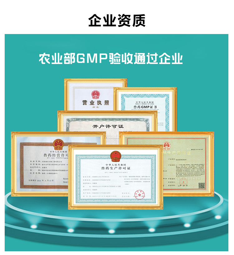 GMP认证