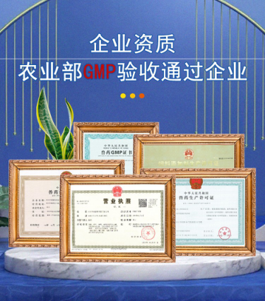 GMP验证