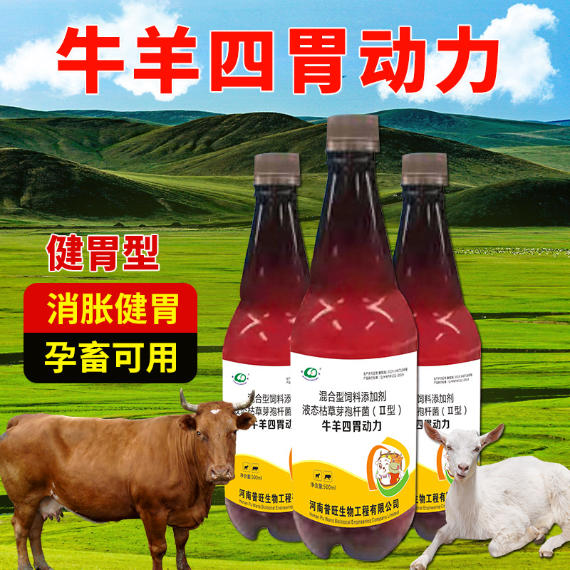 四胃动力