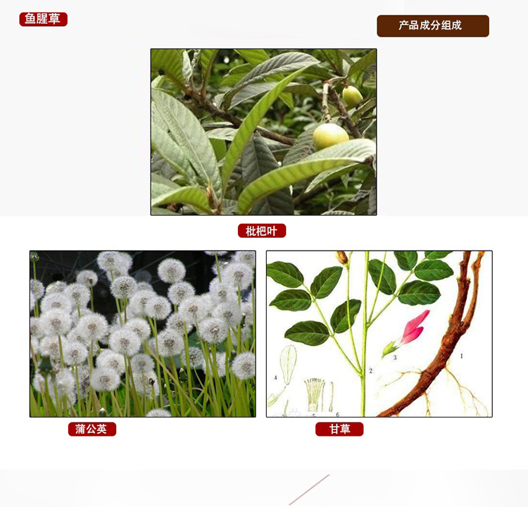 鱼3
