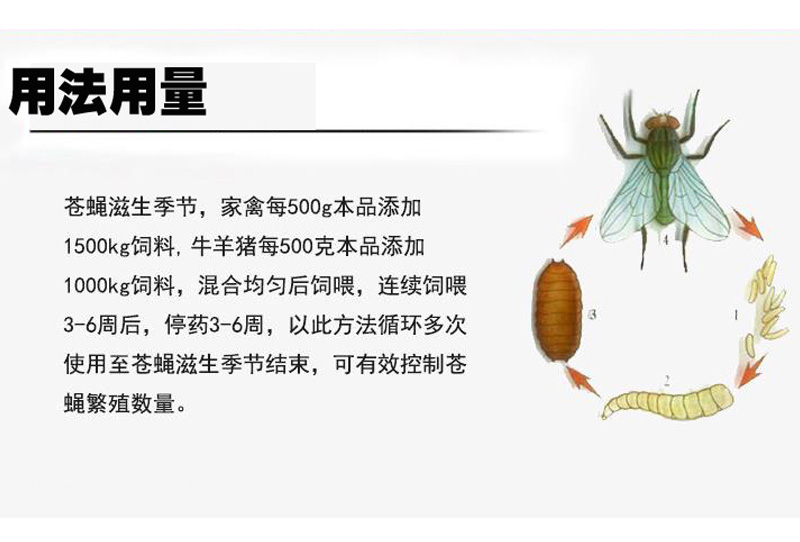 环2