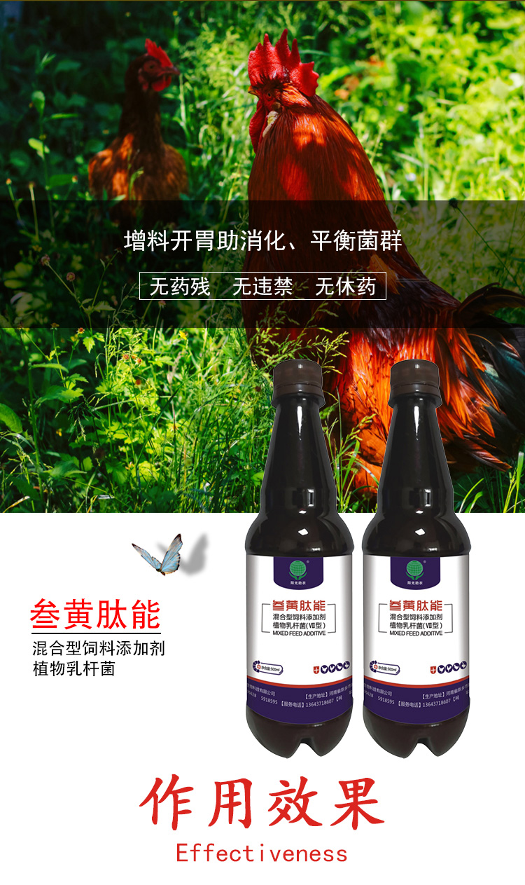 叁黄肽能