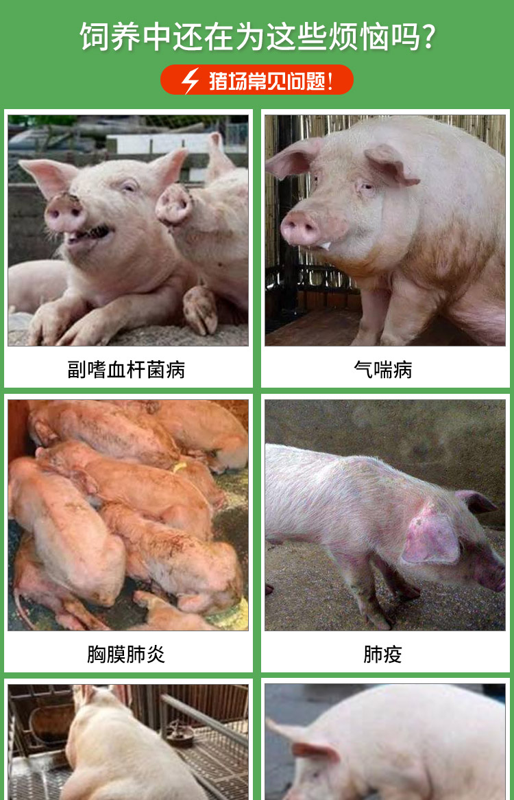 10%包被恩诺沙星可溶性粉 兽用