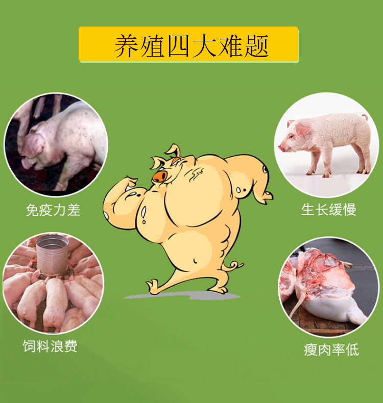 乐肥圆 普旺兽药