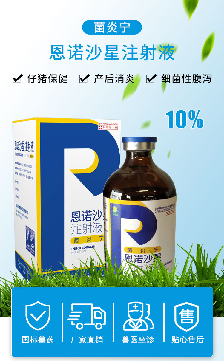 恩诺沙星注射液