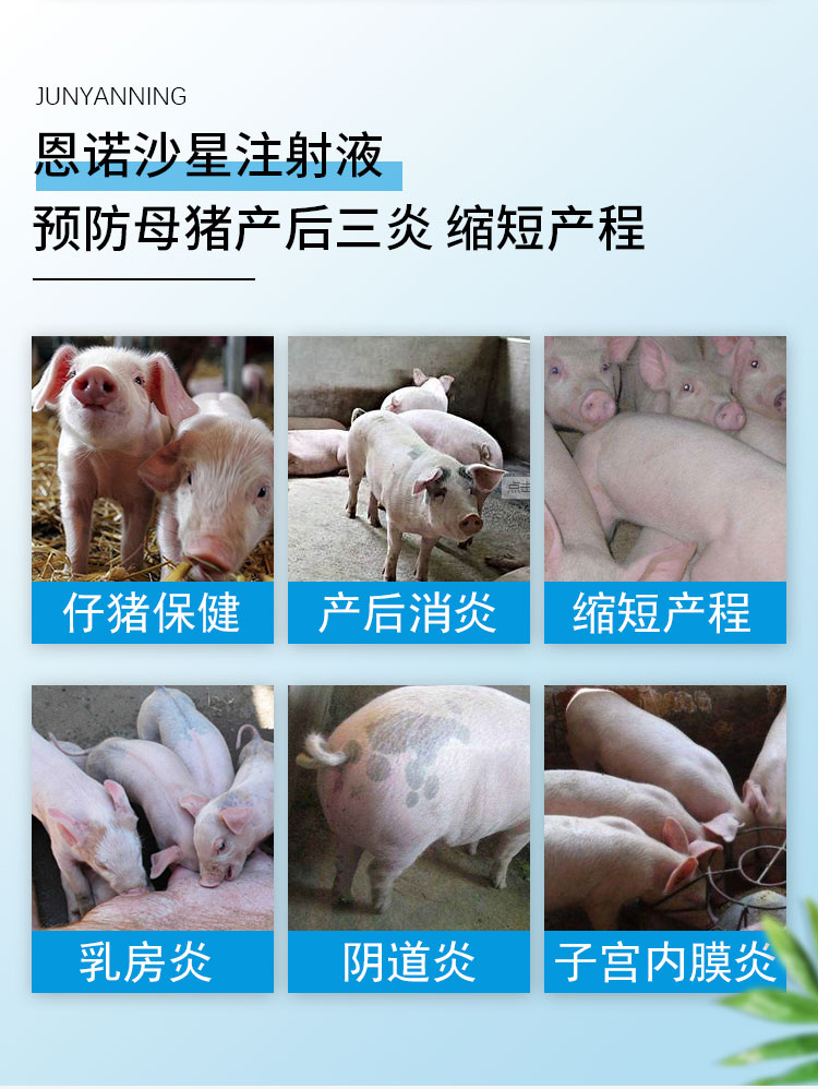 恩诺沙星注射液