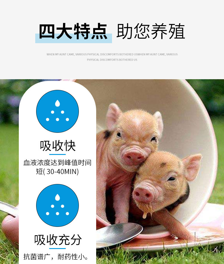 恩诺沙星注射液