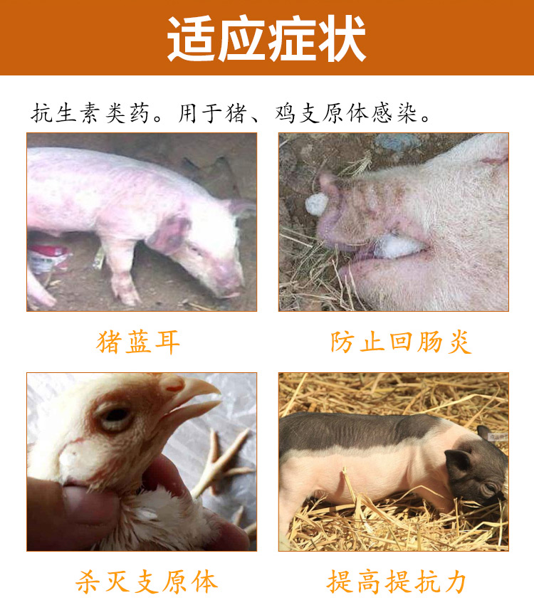 5% 酒石酸泰万菌素 兽药批发直销