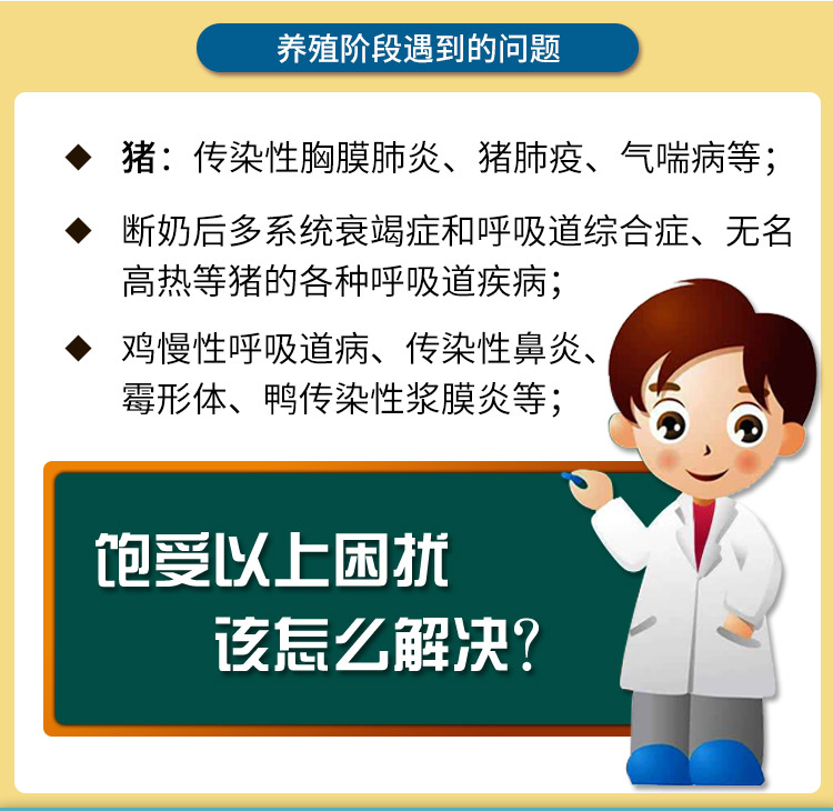 氟妙奇 兽用氟苯尼考粉
