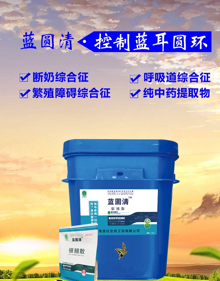 蓝圆清
