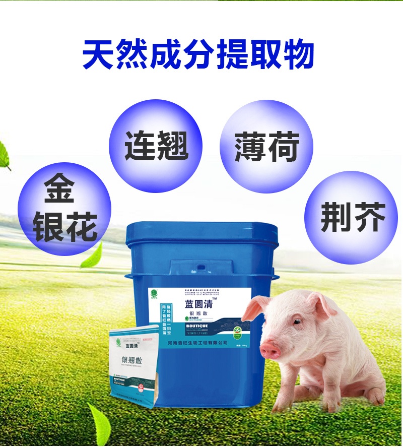 蓝圆清