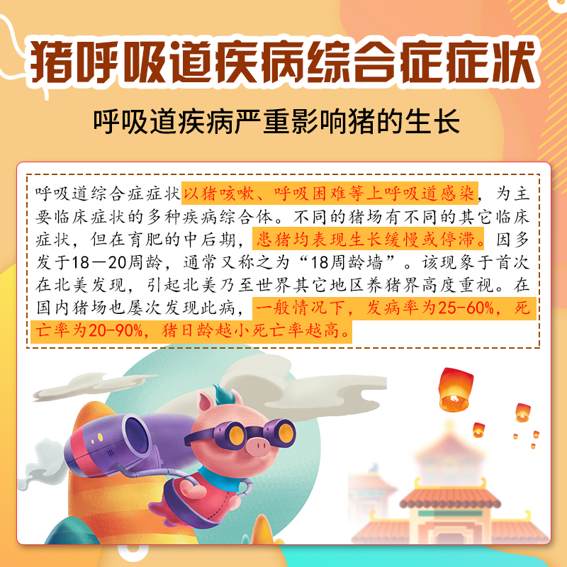 四清汤套餐