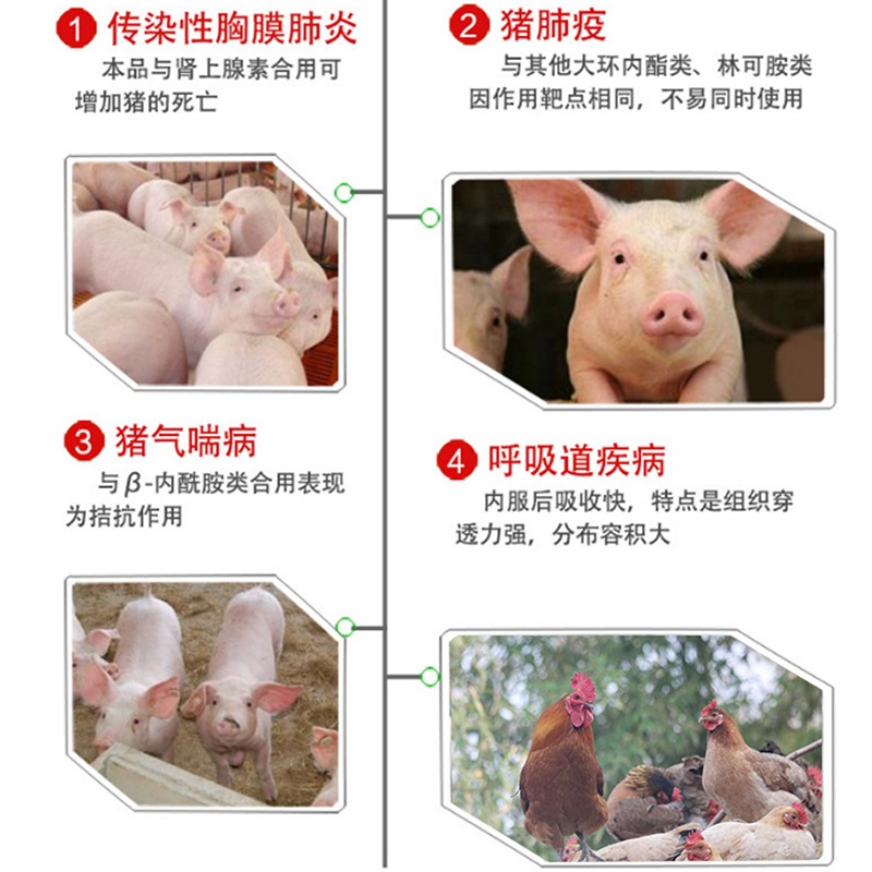 替米考星预混剂