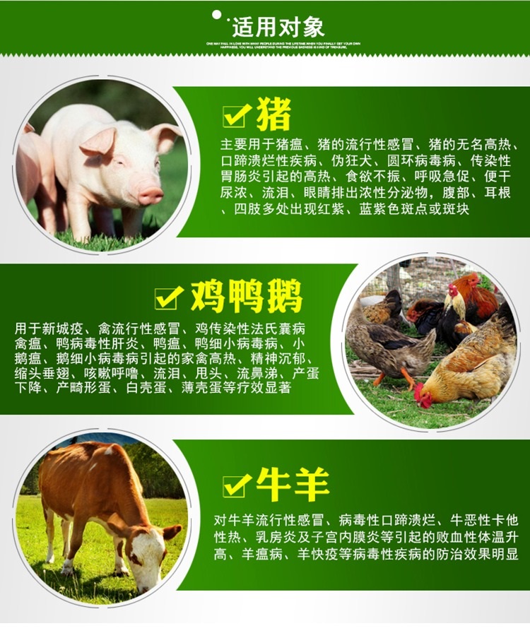 清瘟败毒散 普旺兽药