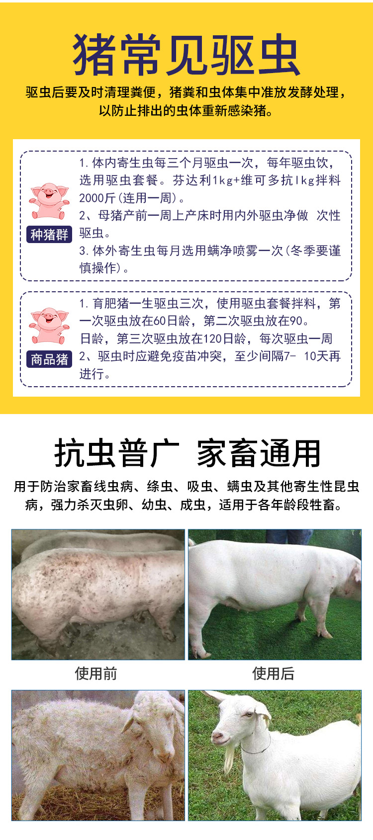 芬苯达唑伊粉复合维生素B