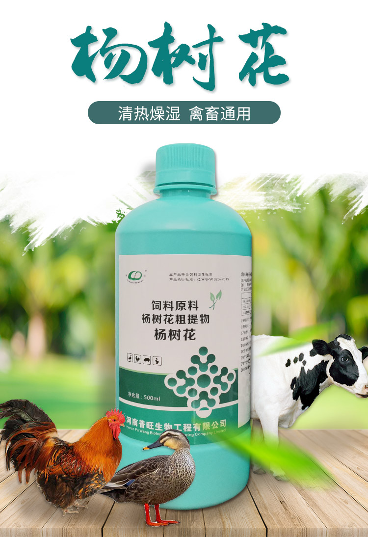 杨1