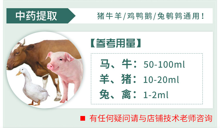 杨2