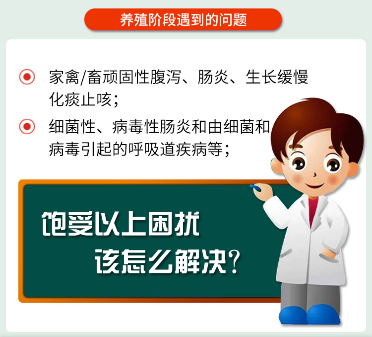 杨6